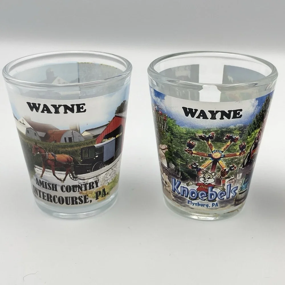 Vintage Wayne Souvenir‎ Shot Glasses Set of 4 Amish PA Atlantic City NJ Knoebels